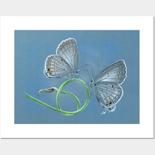 Butterflies Posters and Art